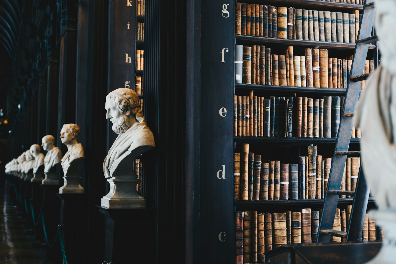 Criminal Defense Lawyer in Orange County